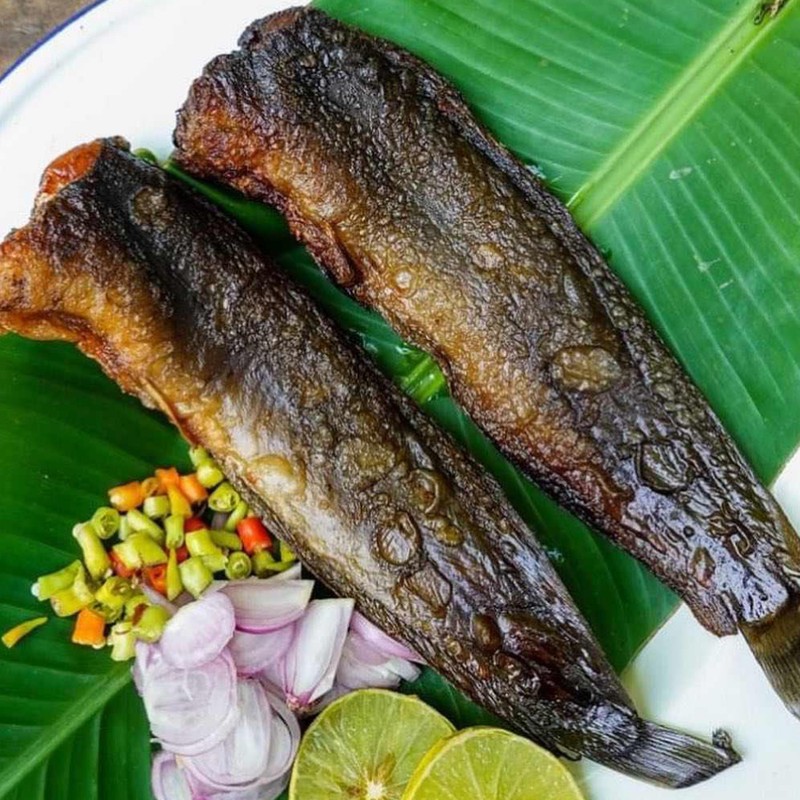 ปลาดุกร้าทะเลน้อย