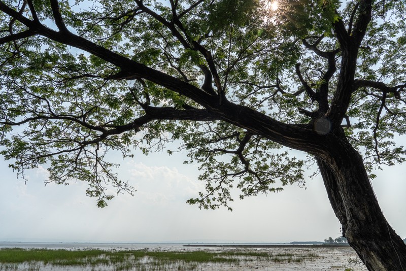 จุดชมวิวตะวันรอน หนองหาร