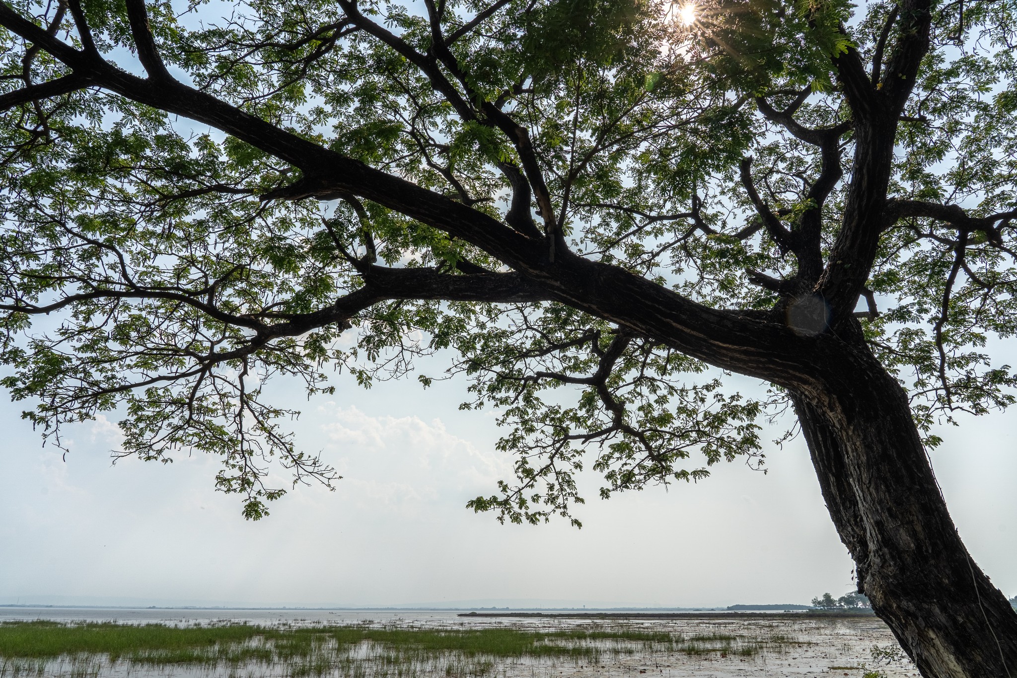 จุดชมวิวตะวันรอน หนองหาร