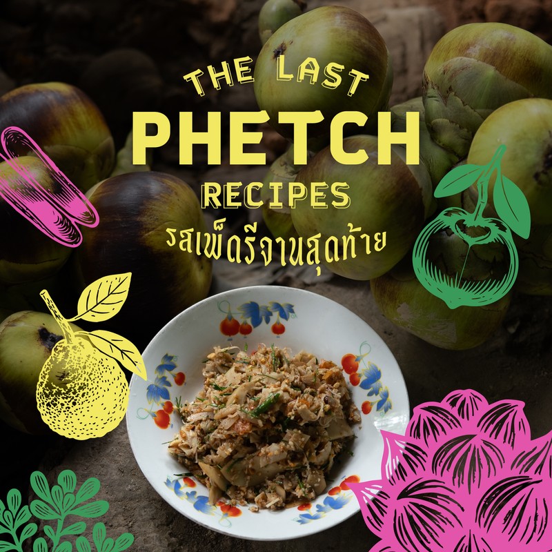 The Last Phetch Recipes: รสเพ็ดรีจานสุดท้าย