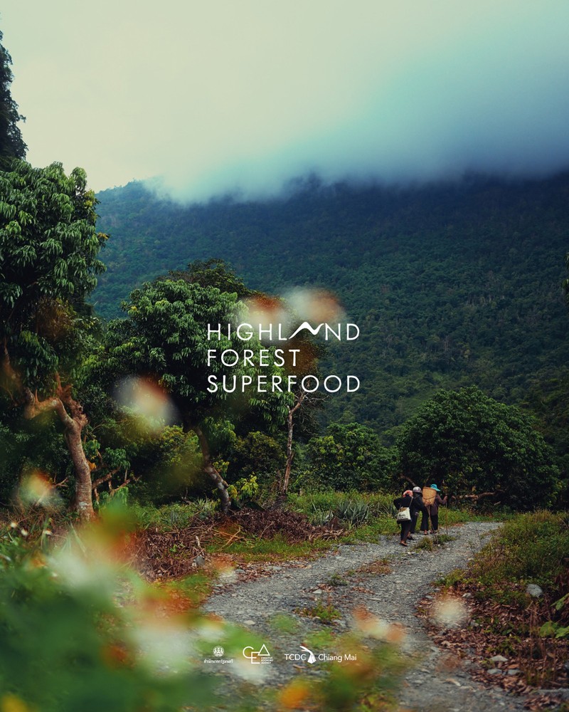 Highland Forest Superfood